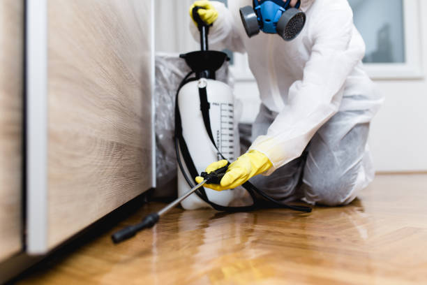 Best Rat Extermination Near Me  in Pemberwick, CT