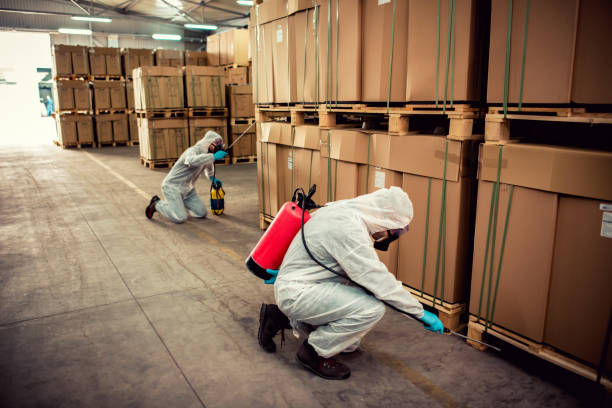 Best Pest Control Treatment  in Pemberwick, CT