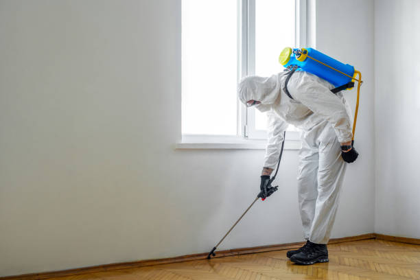 Best Bed Bug Extermination  in Pemberwick, CT
