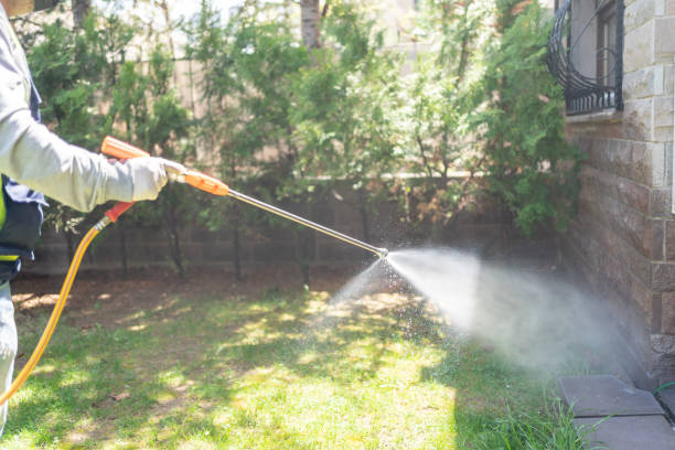 Best Bed Bug Extermination  in Pemberwick, CT