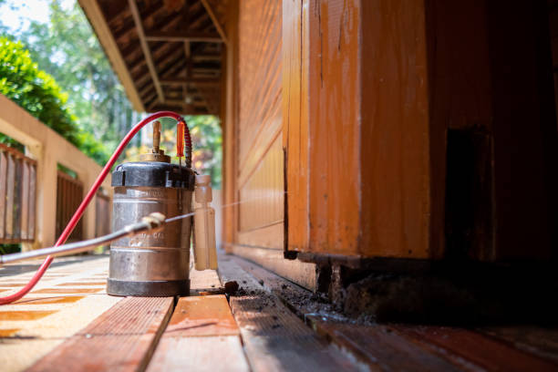 Best Ant Control Services  in Pemberwick, CT