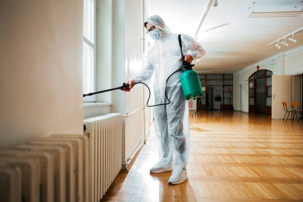 Best Emergency Pest Control  in Pemberwick, CT