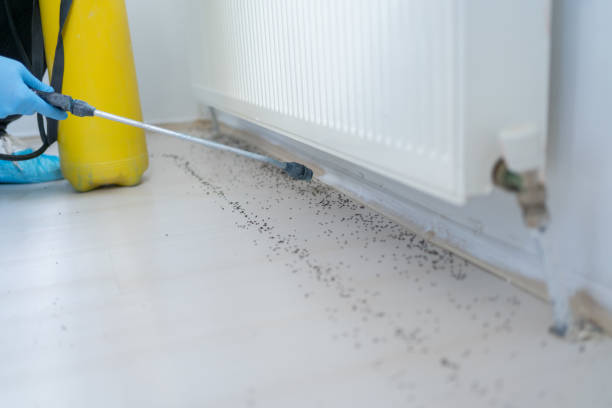 Best Wildlife Control Services  in Pemberwick, CT